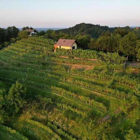 Adorable Guesthouse In The Middle Of Vineyards Ptujska Gora Exterior photo