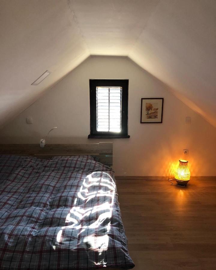 Adorable Guesthouse In The Middle Of Vineyards Ptujska Gora Exterior photo