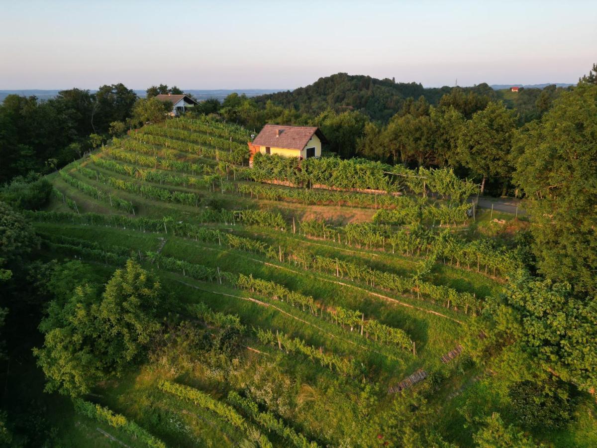 Adorable Guesthouse In The Middle Of Vineyards Ptujska Gora Exterior photo