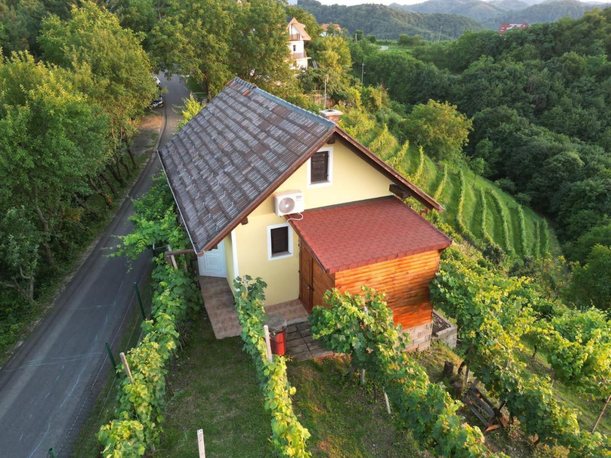 Adorable Guesthouse In The Middle Of Vineyards Ptujska Gora Exterior photo