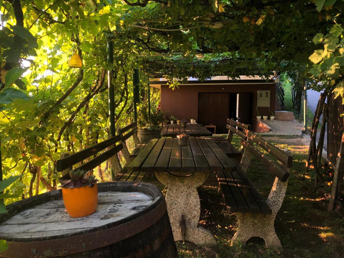 Adorable Guesthouse In The Middle Of Vineyards Ptujska Gora Exterior photo