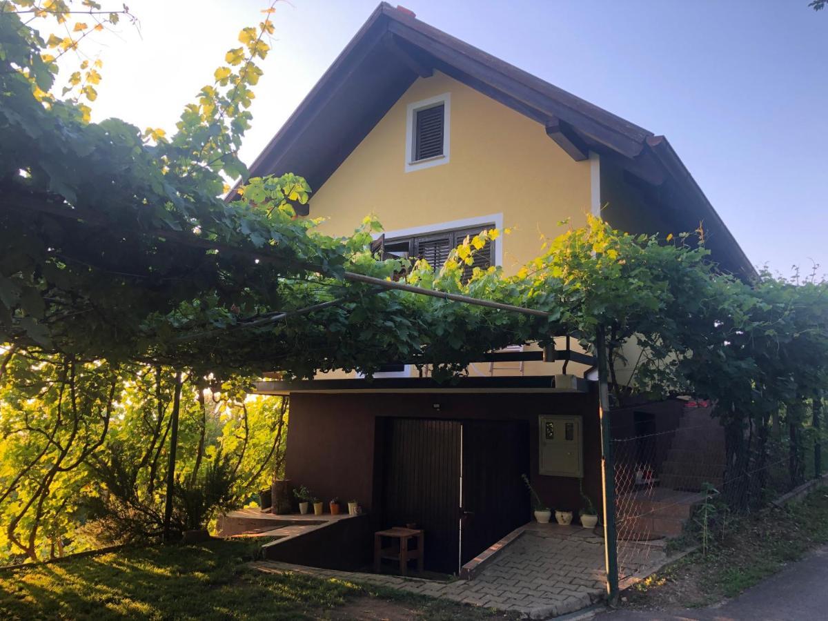 Adorable Guesthouse In The Middle Of Vineyards Ptujska Gora Exterior photo